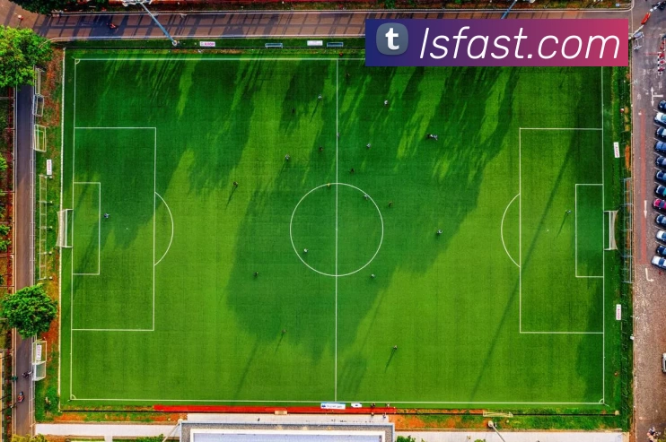 蓝狮在线官网服务体系