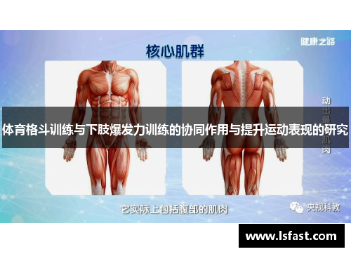 体育格斗训练与下肢爆发力训练的协同作用与提升运动表现的研究